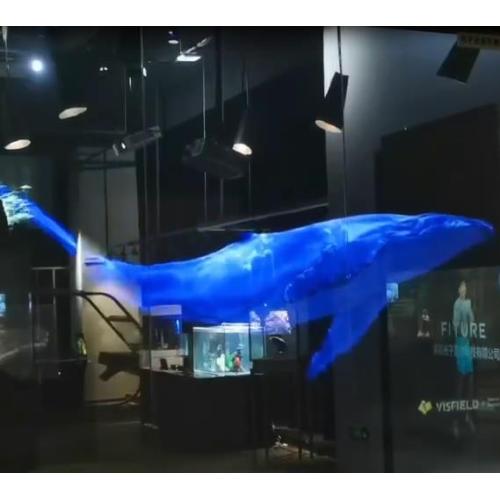 super transparent self-adhesive holographic projection film is used in glass Windows