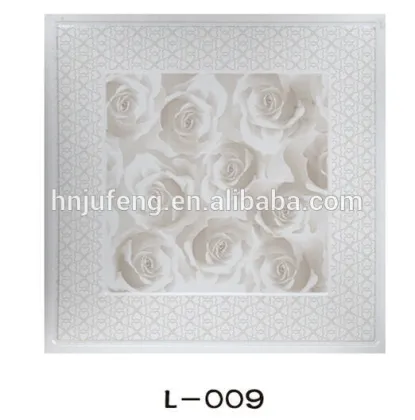 integrated suspending Aluminum ceiling panel