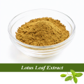 Wholesale Lotus eaf extract powder