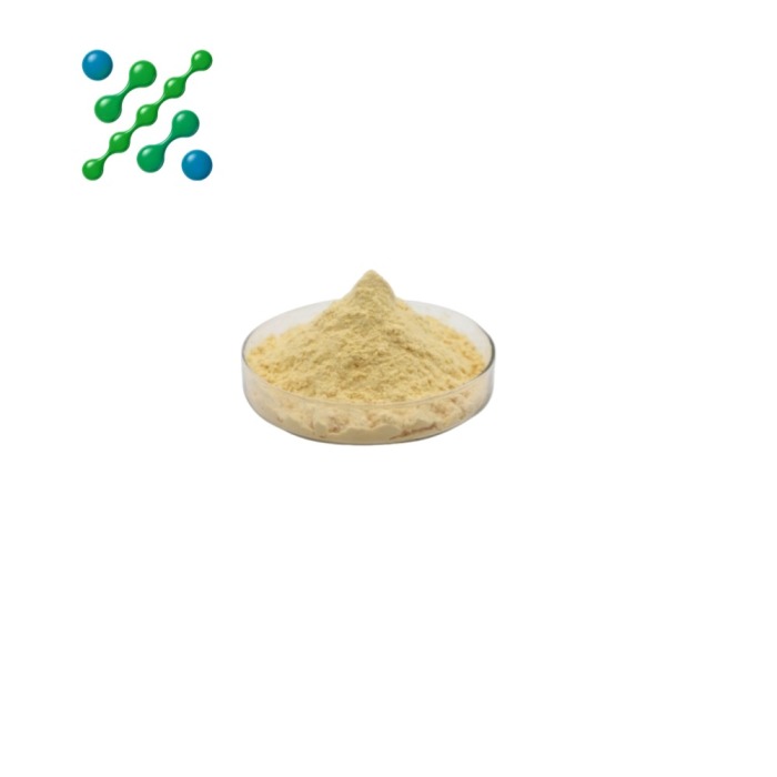 L-Theanine Daily Wellness Powder