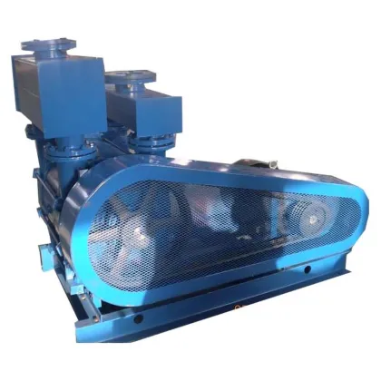 Edwards Vacuum Pump Replacement | Water Ring Vacuum Pump