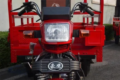 Chongqing Factory Price Ghana Motor Tricycle Zongshen Loncin 150cc/175cc Engine Three Wheel Motorcycle
