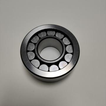 SL1923 Full Complement Cylindrial Roller Bearing