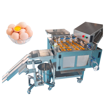 Commercial Egg Cracking and Liquid Separation Machine - Price