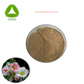 Natural Organic Syrup Marshmallow Root Extract Powder