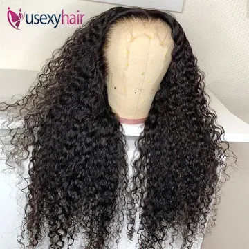 Raw Indian hair lace wigs 100% virgin human hair hd lace closure wig water wave glueless full hd lace human hair wigs
