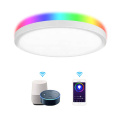 Lampada da soffitto a LED Tuya WiFi