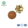 Organic Ligusticum Chuanxiong Extract