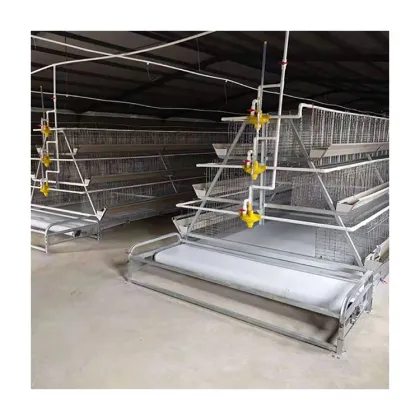 Tbb Brand Automatic Layer Cage Breeding Type A Layer Battery Cage Multi-Functional Chicken Cage