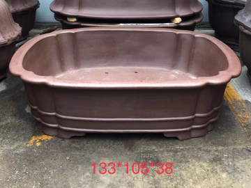 Potes bonsáis poco profundos de 8 pulgadas