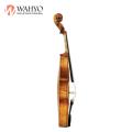 Estudante profissional pratica viola tamanho completo 14 &#39;&#39; - 17 &#39;&#39;