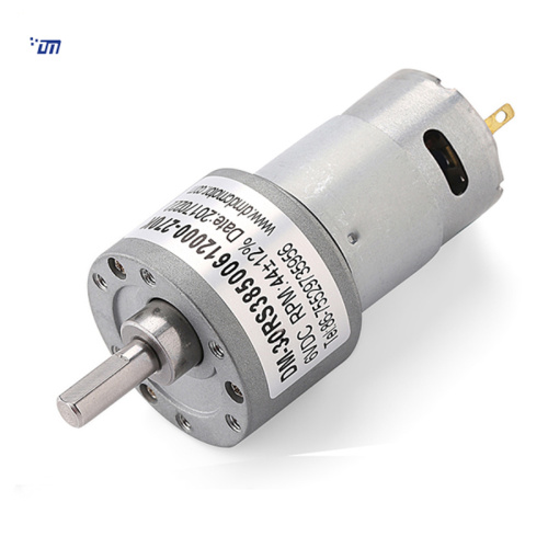 30mm DC Spur Reduction Gearbox Motor