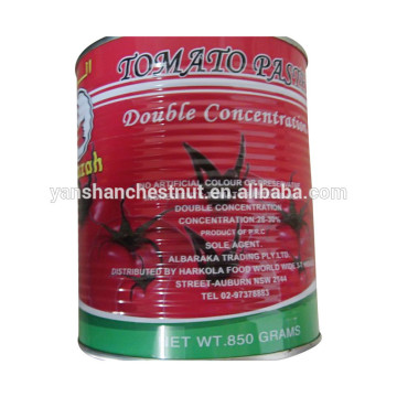 specification fresh tomato, bulk tomato paste Tomato Sauce