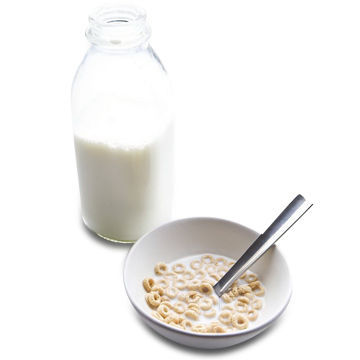 Dairy Products, Import/Purchasing Agent