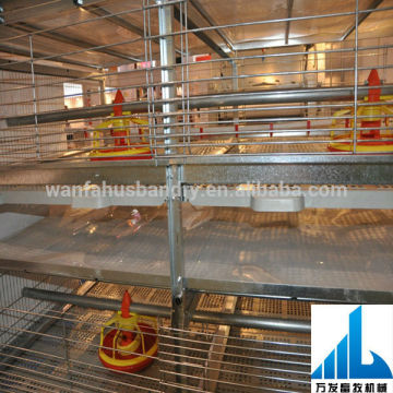 construction of poultry Broiler Chicken Cage