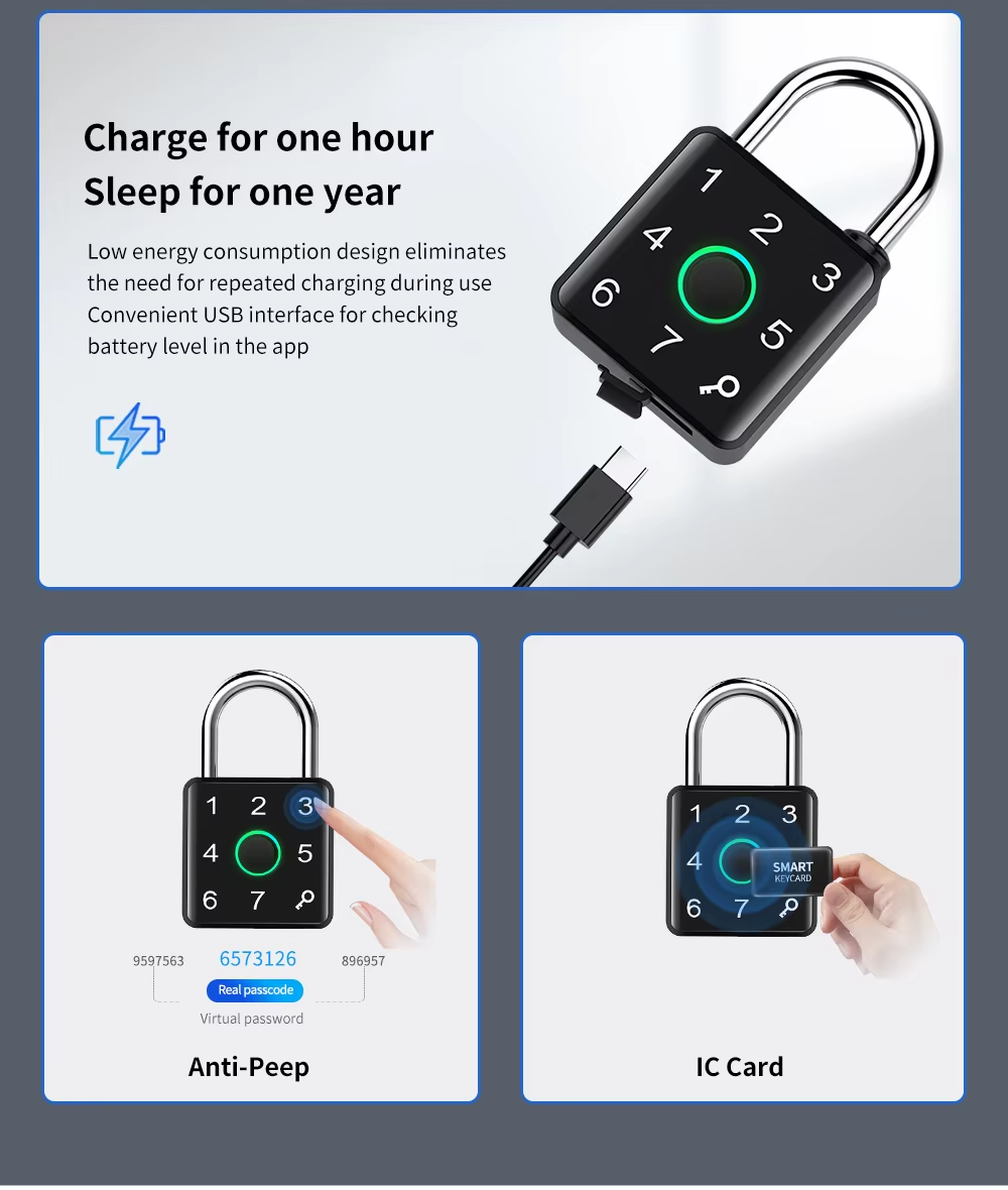 Fingerprint luggage locks