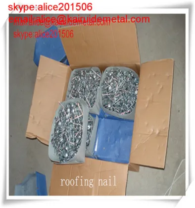 Galvanized Umbrella Head Roofing Nails in Fasteners