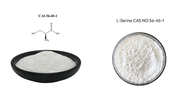 Factory Supplyc L-Serine