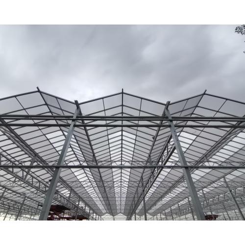 Custom 16mm Polycarbonate Panel Greenhouse