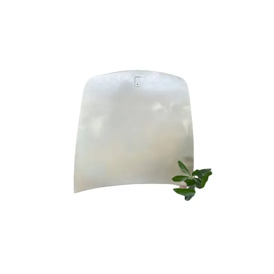 Hot Sale Car Body Parts for Ferrari F430: Bonnet, Engine Cover, Luggage Compartment Lid