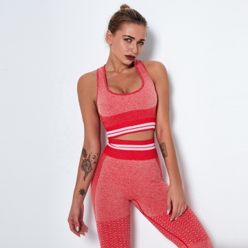 Seamless Push-Up Bra Fitness Tank Top for Women