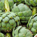 Artichoke extract contains 5% Cynarin