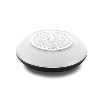 outdoor speaker lights