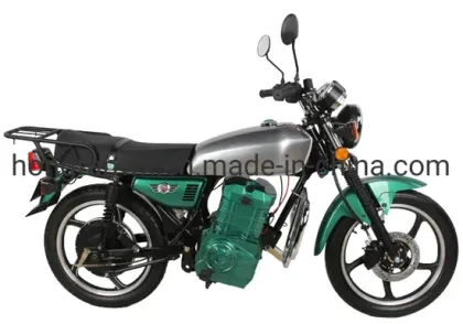 Adult Gas Motorcycles and Moto Scooters