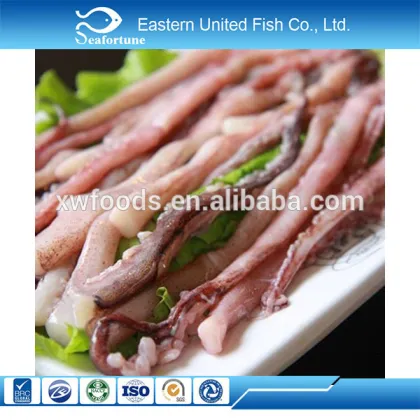 chinese sea export squid tentacle ring