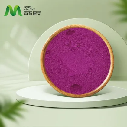 Freeze Dried Red Pitya Powder