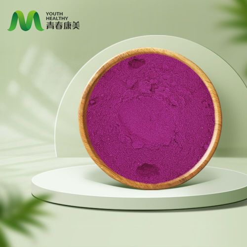 Замрзните сушени црвени питиа прах