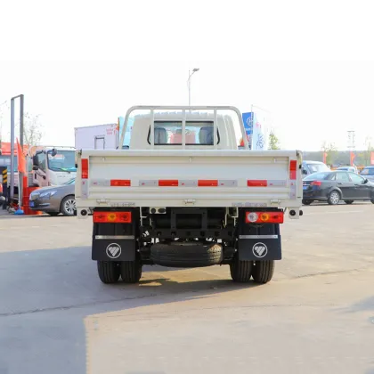 Foton Ruivo 122HP Mini Dump Truck