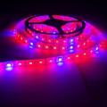 Plant Grow Lights Full Spectrum LED Strip