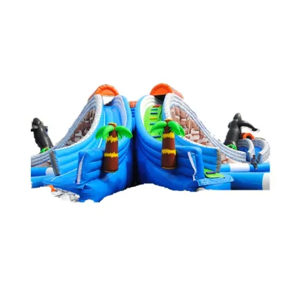 Giant Inflatable Water Slide and Play Equipment for Outdoor Fun