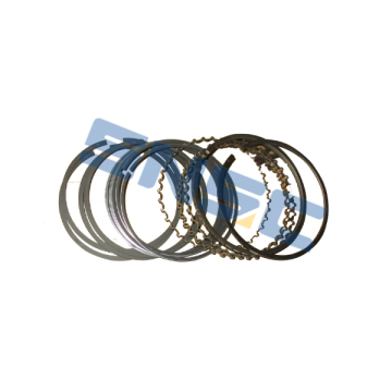 LFB479Q-1004200A  Piston Ring