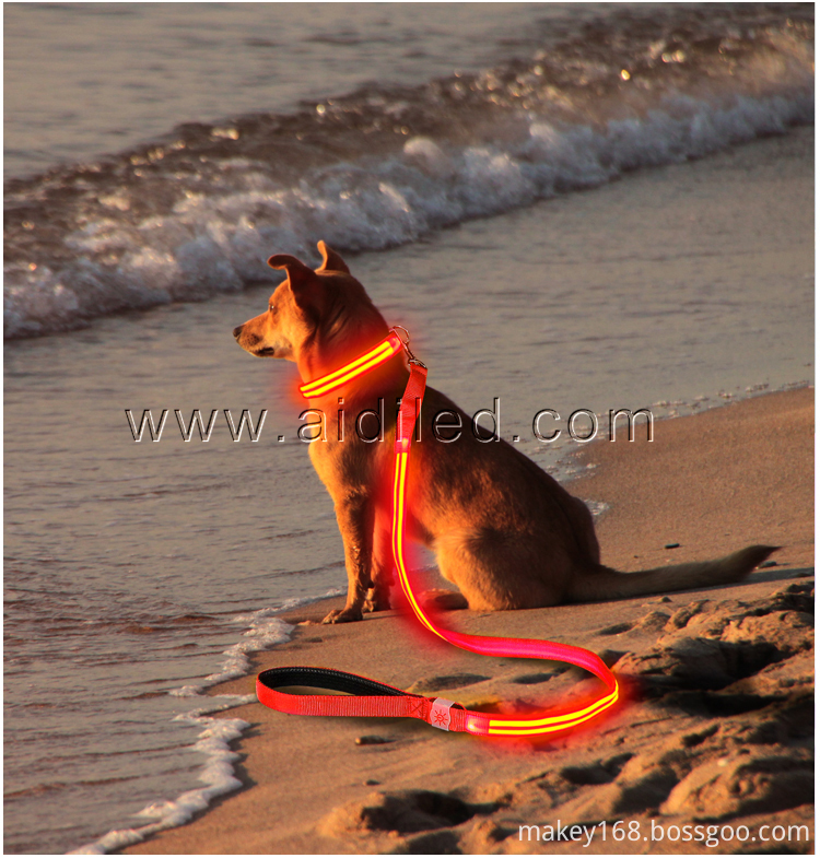 Best Led Dog Leash