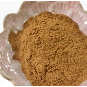 Top Quality Natural Hazelnut Extract Powder