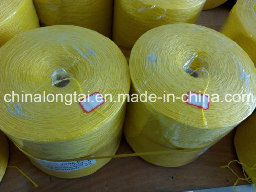 Harga terbaik PP Tomat packing Twine in Small Spool