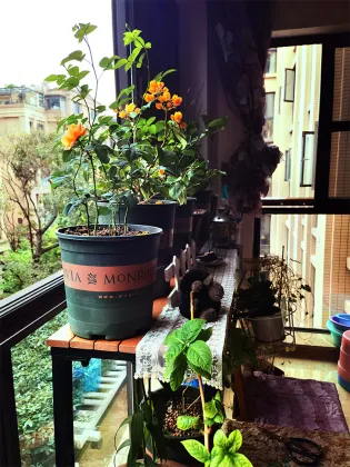 Outdoor Deck Rail Table for Balcony and Porch