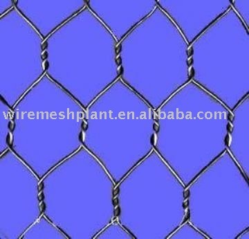 hexagonal netting mesh