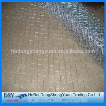 chicken wire netting/pvc coated galvanized hexagonal wire mesh/small hole lowest price chicken wire mesh