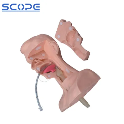 PVC Advanced Sputum Suction Nursing Manikin SC-H85