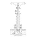 Stainless Steel Cryogenic Globe Valve