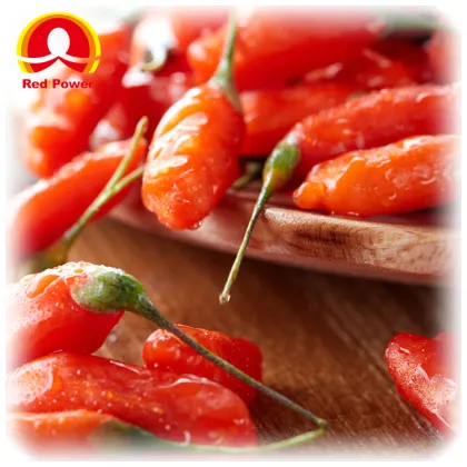 Red Power QIZITO fresh wolfberry wolfberry dryer wolfberry ningxia