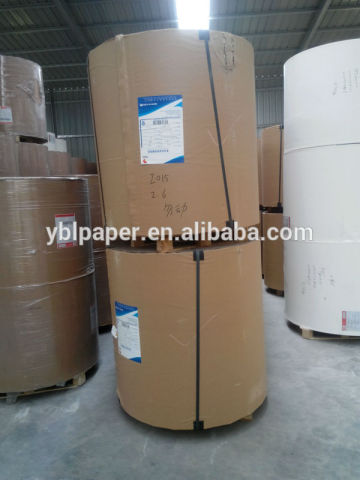 pe coated paper board for cup/ meal box