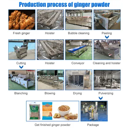 Turmeric and Ginger Processing Line: ORME Ginger Powder Production Equipment