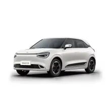 Smart Energy Nano 01 2024 Electric Vehicle