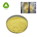 Oroxylum Indicum Extract 98% Chrysin powder