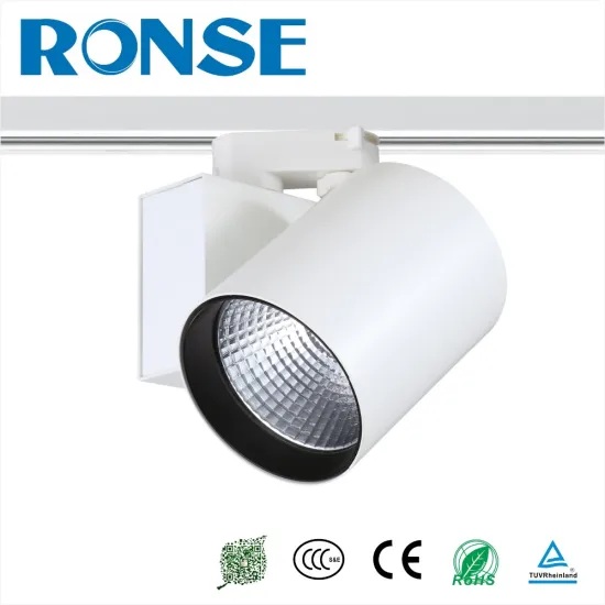 2016 RONSE Pure aluminum LED Track lighting dove led lights