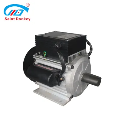 Saint Donkey Permanent Magnet Electric Motor Search